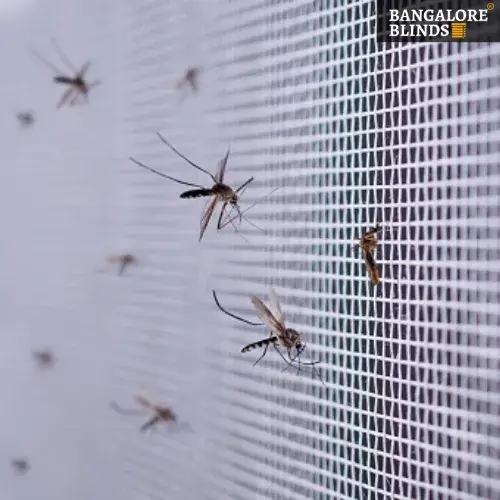 Window-Mosquito-net-2